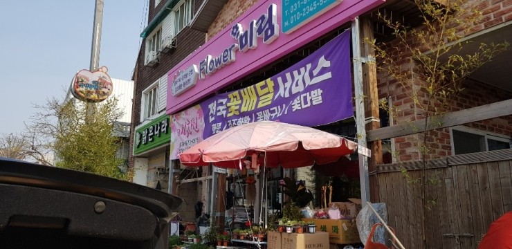  멧돼지가 파헤친 산소에 잔디작업하고 왔어요 [멧돼지 퇴치용 철망점검]