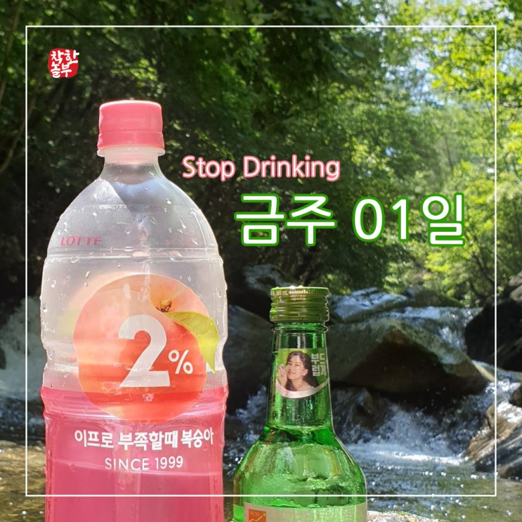 금주(Stop Drinking) 1일