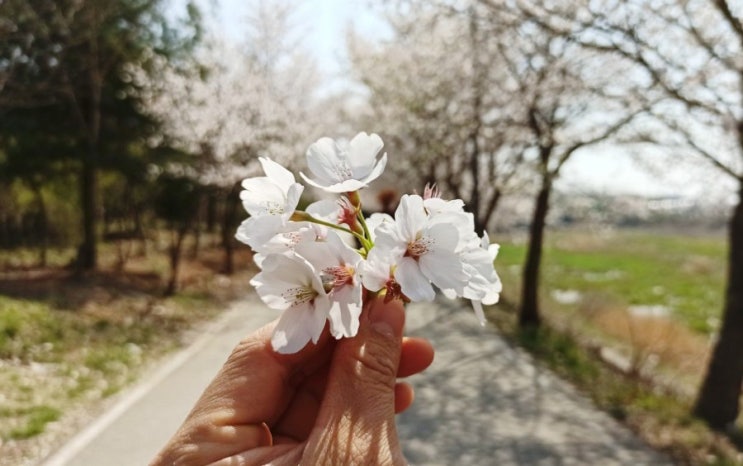  양천구 목동 센트럴 아이파크 위브 친환경 입주 및 이사 청소, 좋다는 말! 직접 경험해보기 전엔 믿을 수 없어요