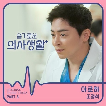  슬기로운 의사생활 조정석 "아로하"