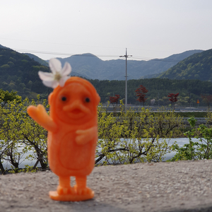  펭수? 당근 하나로도 충분해.
