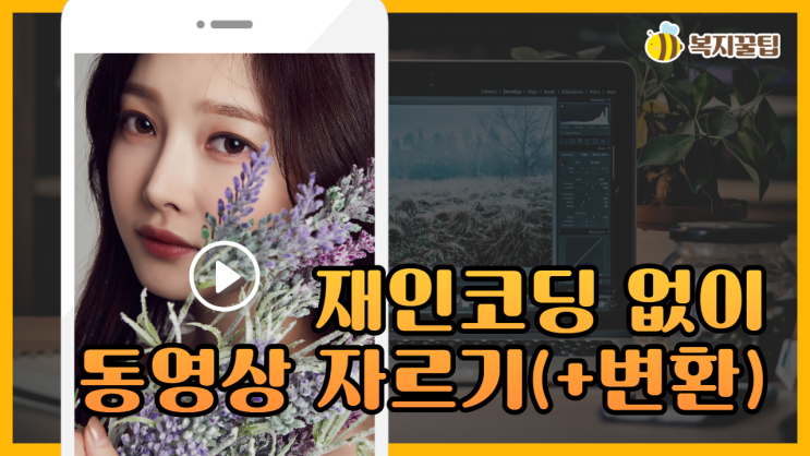  재인코딩 없이 동영상 자르기 및 파일 확장자 변환하기 / 복지꿀팁