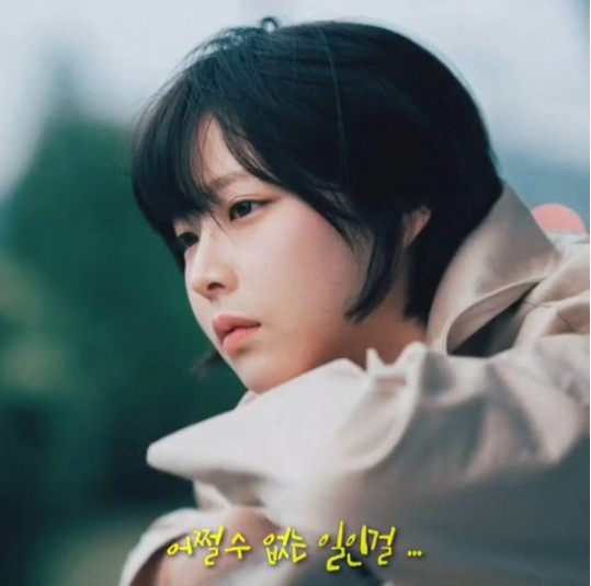  다시-오현란