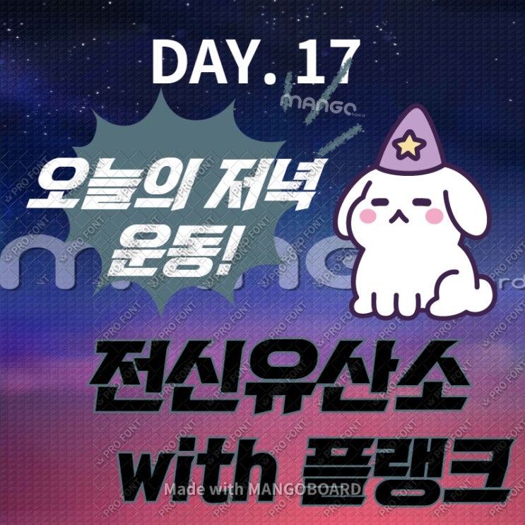  DAY 17. 선거 덕분에 굿나잇홈트(with 전신유산소, 플랭크)