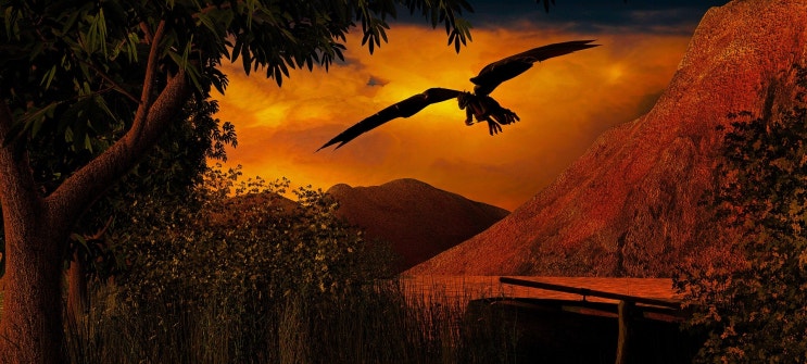  눈물을 마시는 새 _ 한국형 판타지의 시작과 정점(이영도)