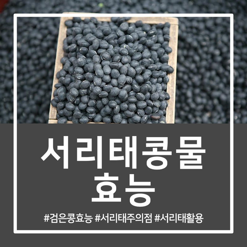 구운 수세미의 항산화 효과로 갱년기 증후군 완화 8