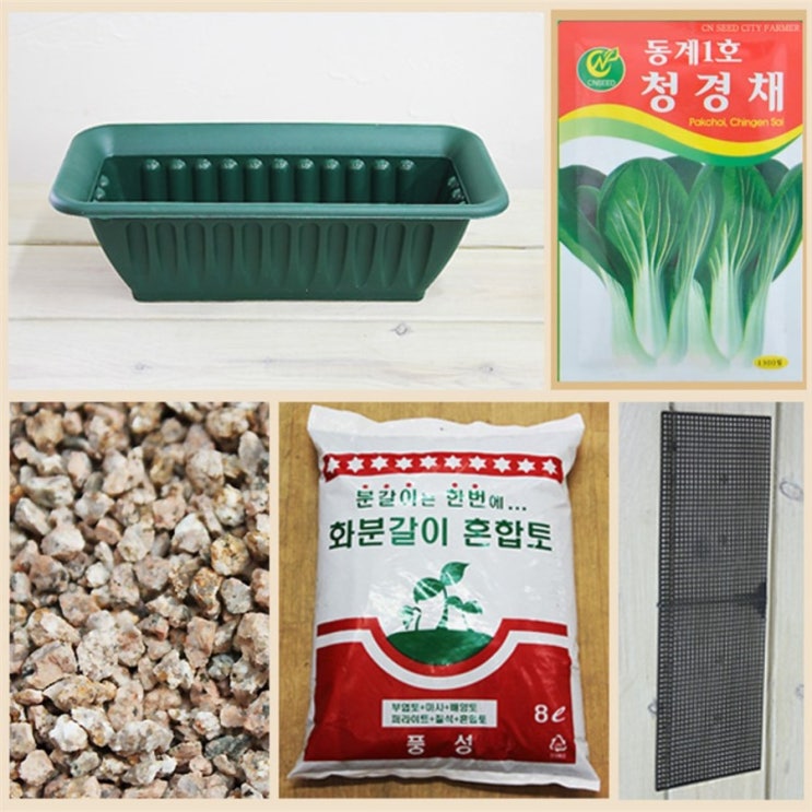  [추천] 행복한세상 텃밭가꾸기 중 청경채 13,900원 최고