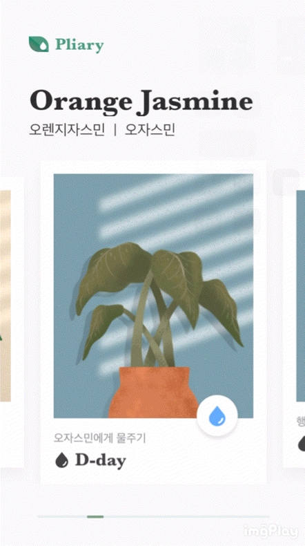  키우는 화분이 많아서 물 주기 패턴이 헷갈릴 땐, 스마트하게 Pliary 어플을 사용해보자! (식물 일지 어플 추천)
