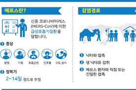 중동호흡기증후군 메르스에 대한 분석 - 정의 원인 병원균 증상 합병증