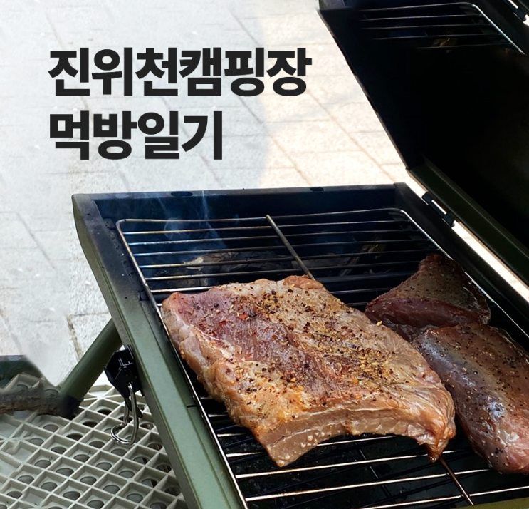  진위천 캠핑장 유원지에서 당일치기 먹방일기 (먹방꿀팁 대방출)