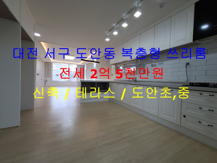  대전 서구 도안동 도안초,도안중 인근에 있는 신축 복층형 테라스 주인세대 쓰리룸 ^^ 귀한 전세 매물입니다 ~!