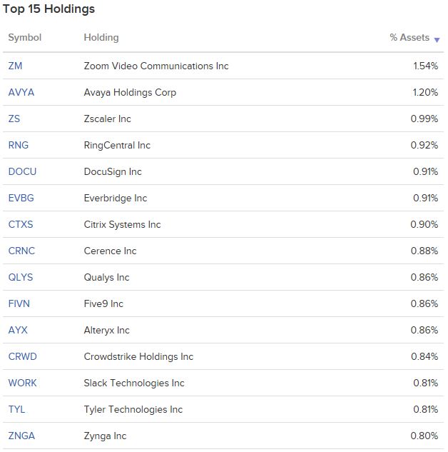 XSW ETF - 소프트웨어 서비스 분야에 투자하는 미국 ETF