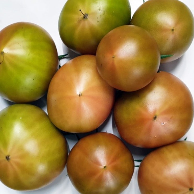 토마토 중에 최고 으뜸 가정용 부산 대저 짭짤이, 1개, 반짭짤이 중소과_2.5kg 추천해요