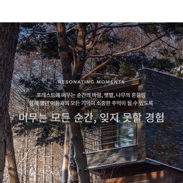  오늘의 핫 아이템 제천리솜포레스트숙박 - [제천] 제천 포레스트 리솜  (With '위험한 소식)