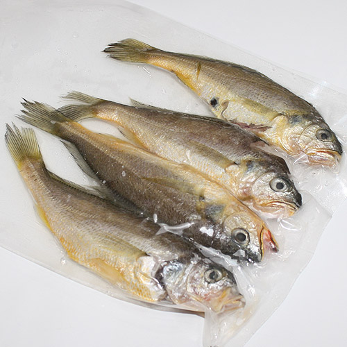 고씨네수산 참조기 파조기 조기파지 자반 간조기, 1box, 생파조기(소소) 750g 추천해요 고씨네수산 참조기 파조기 조기파지 자반 간조기, 1box, 생파조기(소소) 750g 추천해요