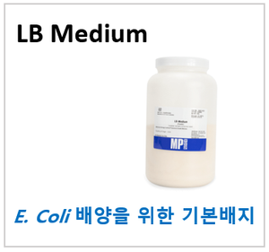 [Best] LB Medium 제품선택 가이드