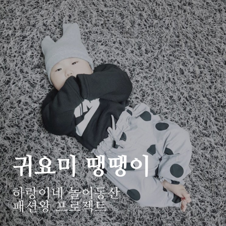  패션왕프로젝트 :  땡땡이와귀요미 5개월아기 데일리룩