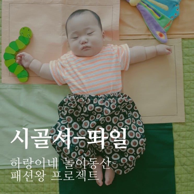 패션왕프로젝트 : 강남스타일? 시골스타일! 6개월아기 데일리룩