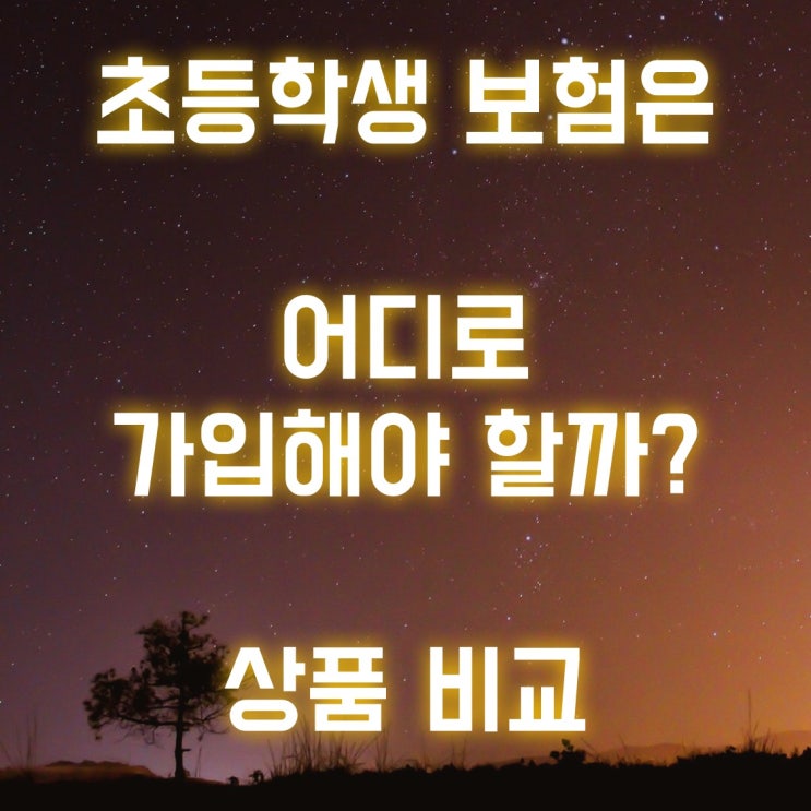  초등학생 보험 비교 후 유리하게 준비하셔야 합니다