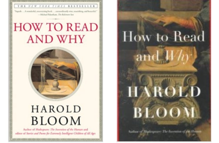 How to read and why (Internet Archive eBook)