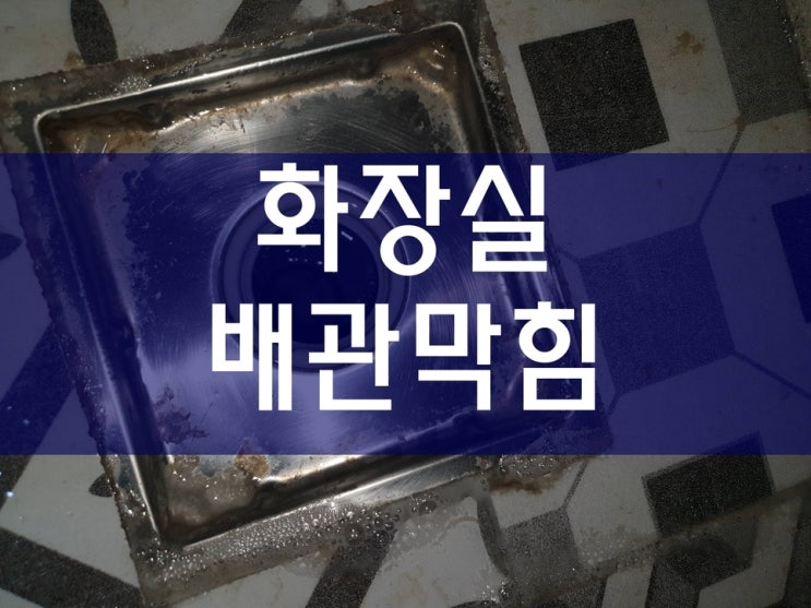  화장실 하수구 막힘 왜 자꾸 막히는 것이며 횡주관 세척을 자주 하면 좋을까요?
