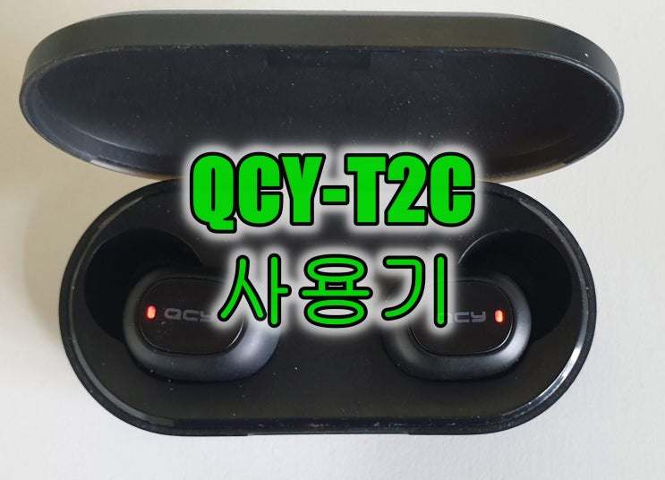 처음 사본 TWS 블루투스 이어폰 QCY-T2C 두달 사용기(feat. 소니 WI-1000X)