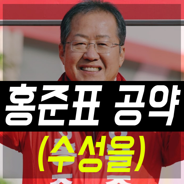 대구 수성을 홍준표 국회의원 공약 및 정책(차기 대선후보?)