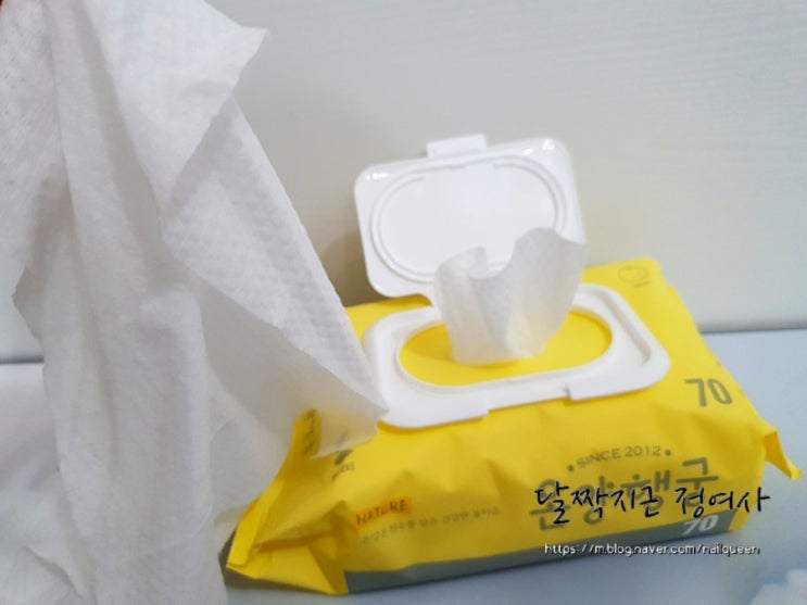  온양온천 물티슈 온천수 함유 /도톰한 프리미엄 물티슈 온양행궁