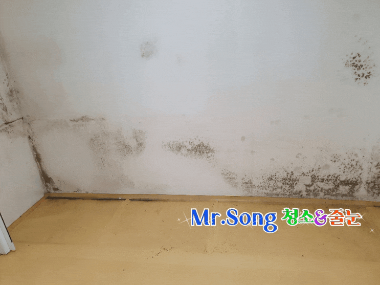  부산 남산동 빌라 퇴실 청소 미스터송청소&줄눈 부산청소업체