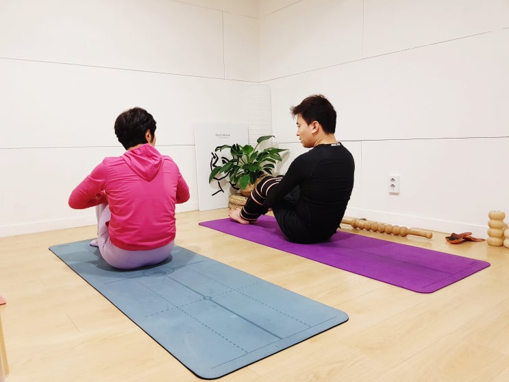  SNPE바른자세척추운동 강남 체형교정 프로그램 후기