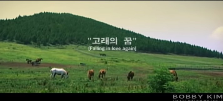  고래의 꿈-바비킴