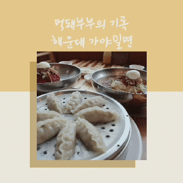  부산여행 필수 맛집 코스 : 해운대 가야 밀면