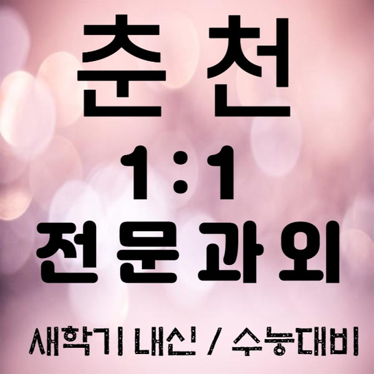  춘천 영어과외 소양 수학과외 효자동 국어 기초부터 심화까지 모든 수업이 가능해요