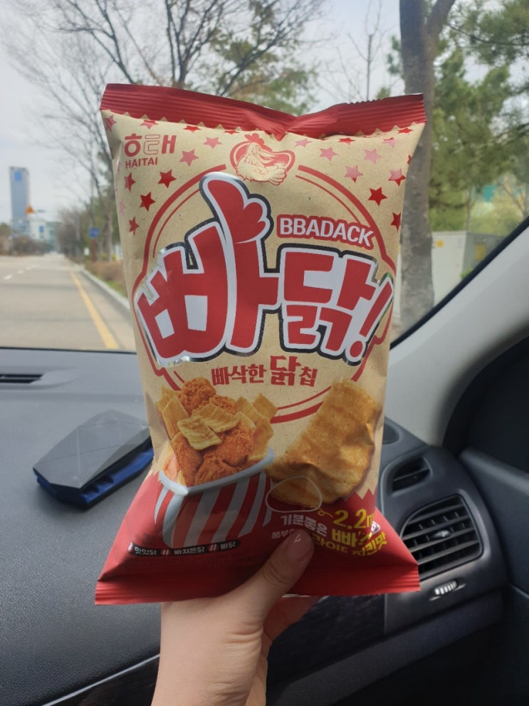  [후기] 빠삭한 닭칩, 빠닭 후라이드 치킨맛