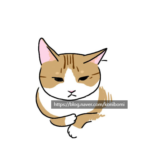 디자이너 이모가 그린 보미 디자이너 이모가 그린 보미