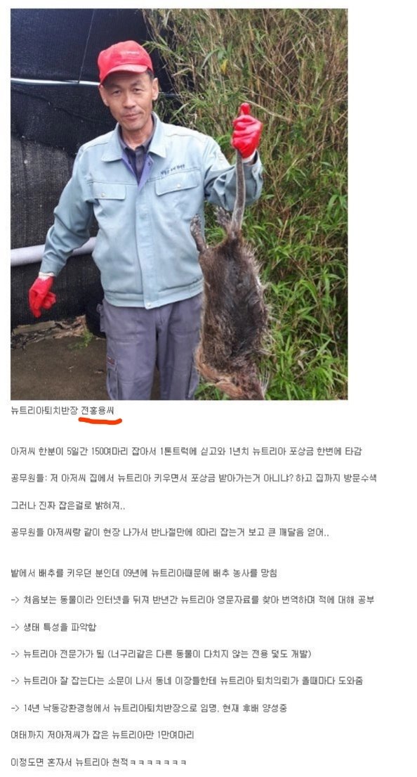  대한민국 생태계 교란 생물 뉴트리아 헌터 전홍용씨 요즘 근황 