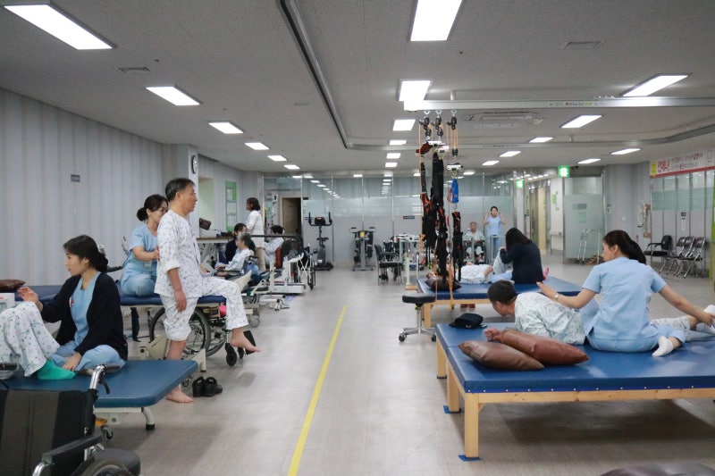 [안산요양병원/안산재활요양병원/사회복지프로그램] 육해공 동물 붙이기 12