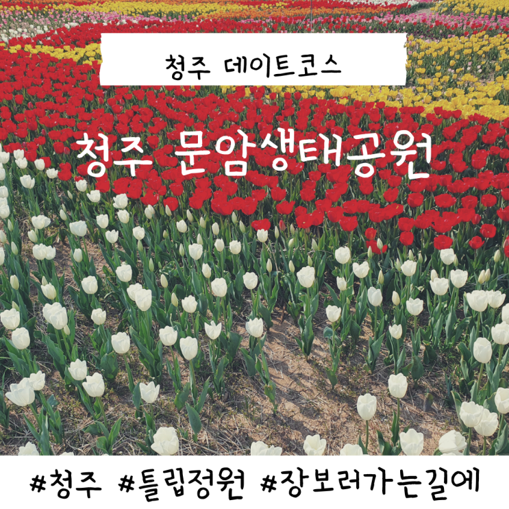 청주 문암생태공원 튤립정원 데이트코스 청주 문암생태공원 튤립정원 데이트코스