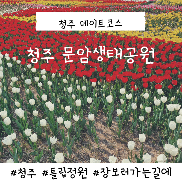 청주 문암생태공원 튤립정원 데이트코스