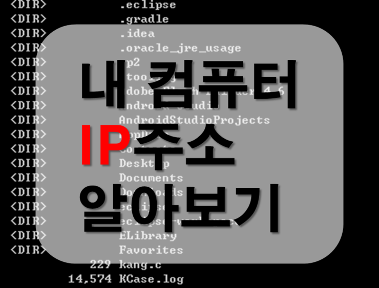  내 컴퓨터의 IP 주소 알아보기