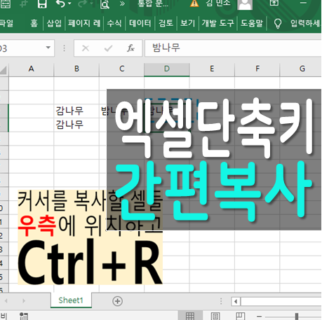  엑셀배우기 간편한 왼쪽 위쪽 복사 단축키