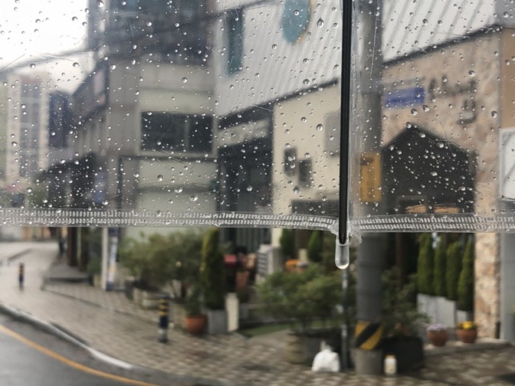  부산 브런치카페 '후스'