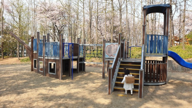 사회적거리두기 속 주말에 아기랑 가볼만한 곳, 인천 벚꽃명소