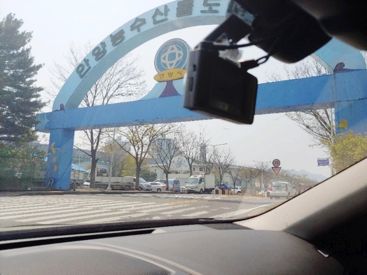  안양농수산물도매시장-마트보다 싼