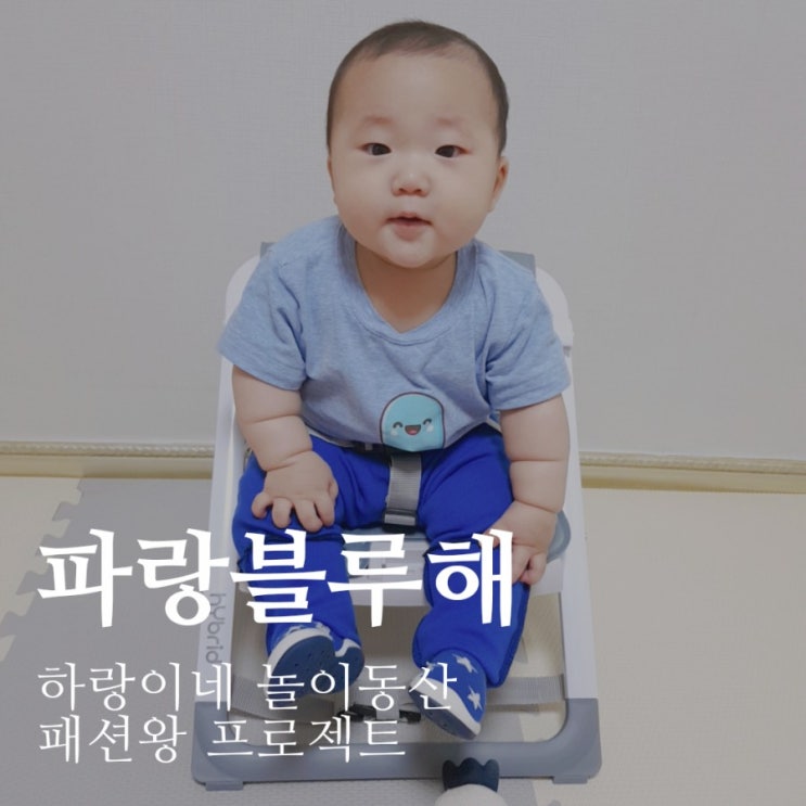 패션왕 프로젝트 : 파랑블루해 6개월아기 데일리룩