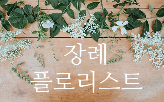  장례플로리스트 자격증 따기 어렵지 않아요.