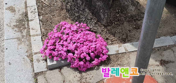  부지런. 성실. 그리고 끊임없이