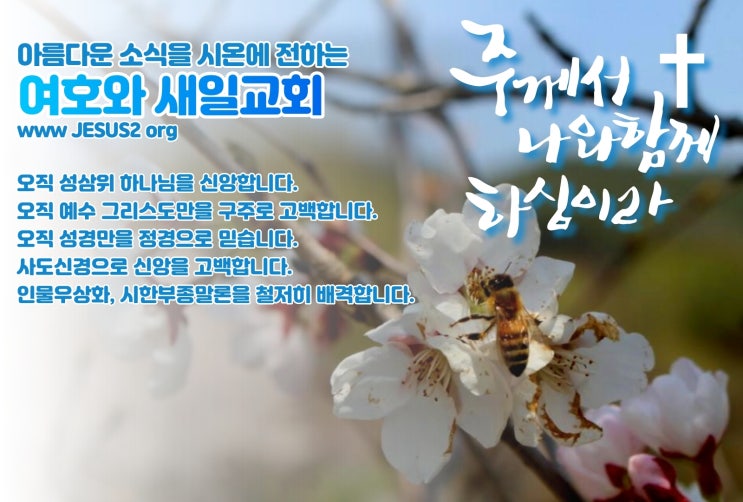 새일교회 말씀 | 변론과 심판을 위하여 움직이는 여호와 새일교회 말씀 | 변론과 심판을 위하여 움직이는 여호와