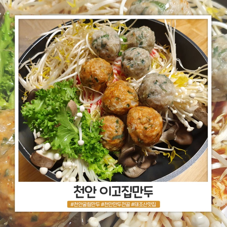 태조산맛집 이고집만두 포장 해다먹었어요! 태조산맛집 이고집만두 포장 해다먹었어요!
