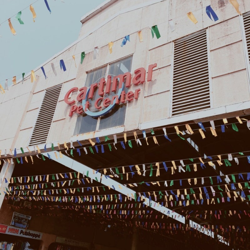 [마닐라 쇼핑] 빈센트 하비샵 Manila local market Cartimar Market 깔티마 시장 : 네이버 블로그